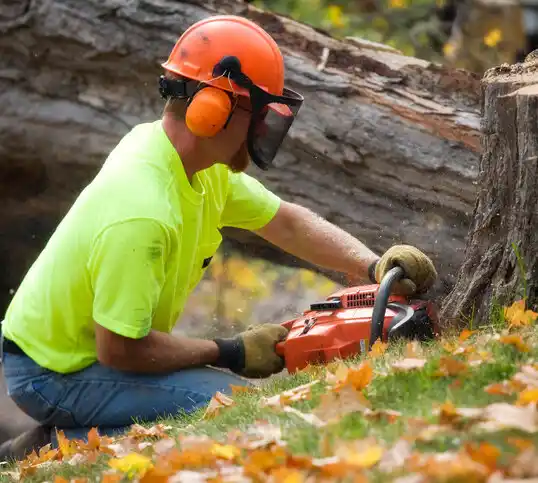 tree services Fillmore